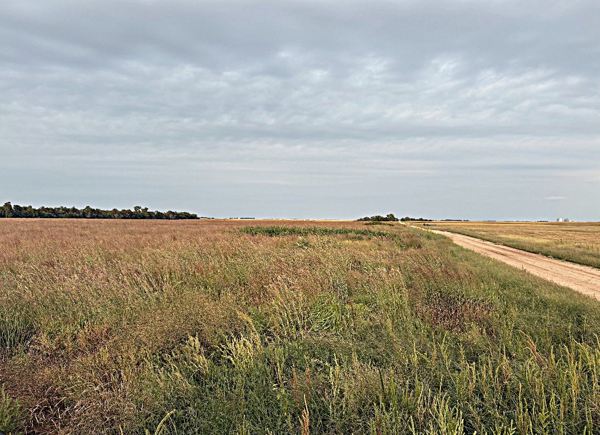 Stafford County KS Prime Hunting Property