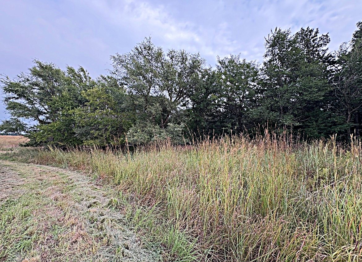 Stafford County KS Prime Hunting Property