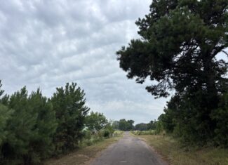Great Homesite in Linden, Texas with Hunting Opportunities
