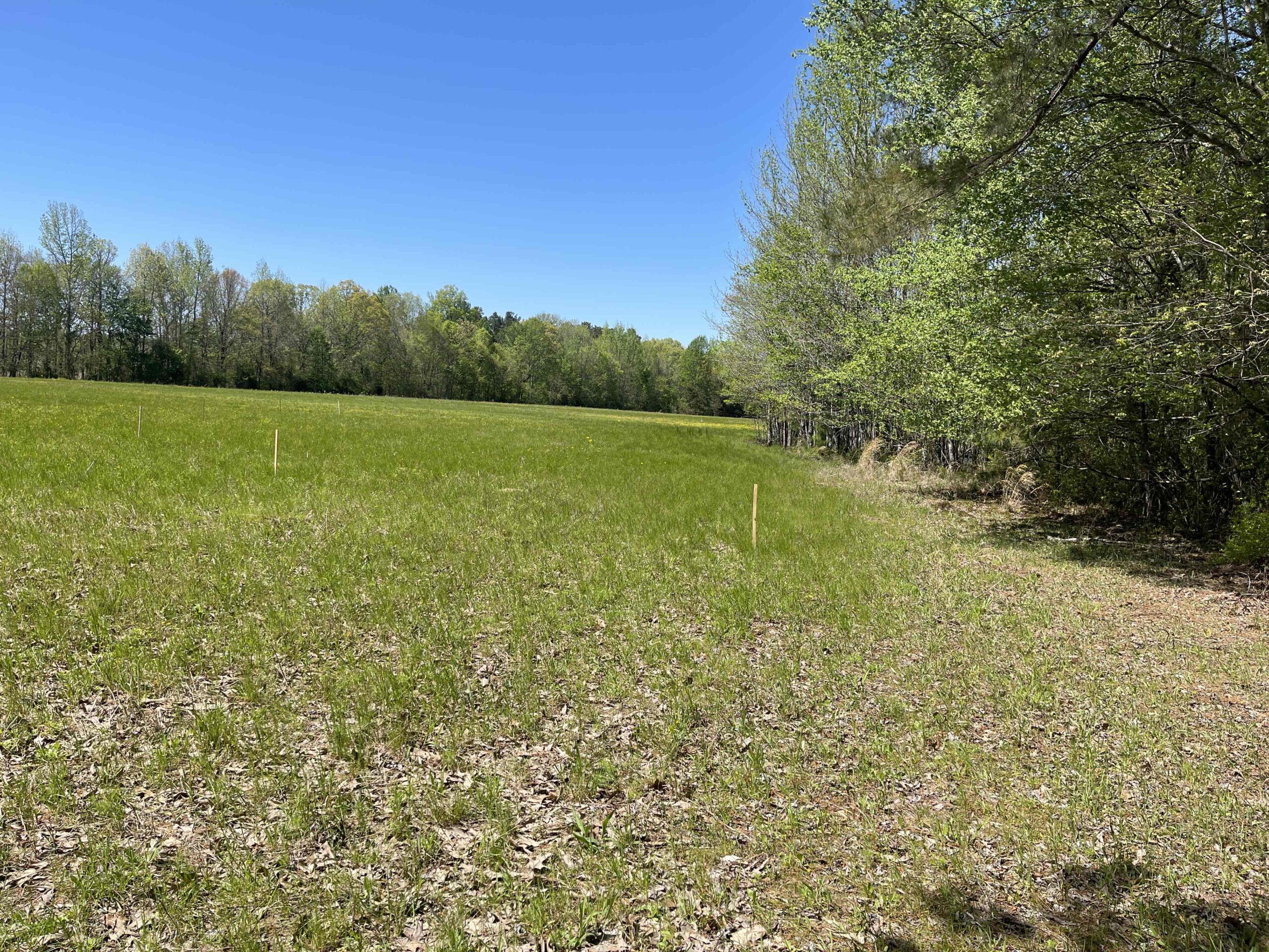 WOODED LAND FOR SALE IN TN, HUNTING LAND, LAND TO BUILD ON IN MCNAIRY COUNTY