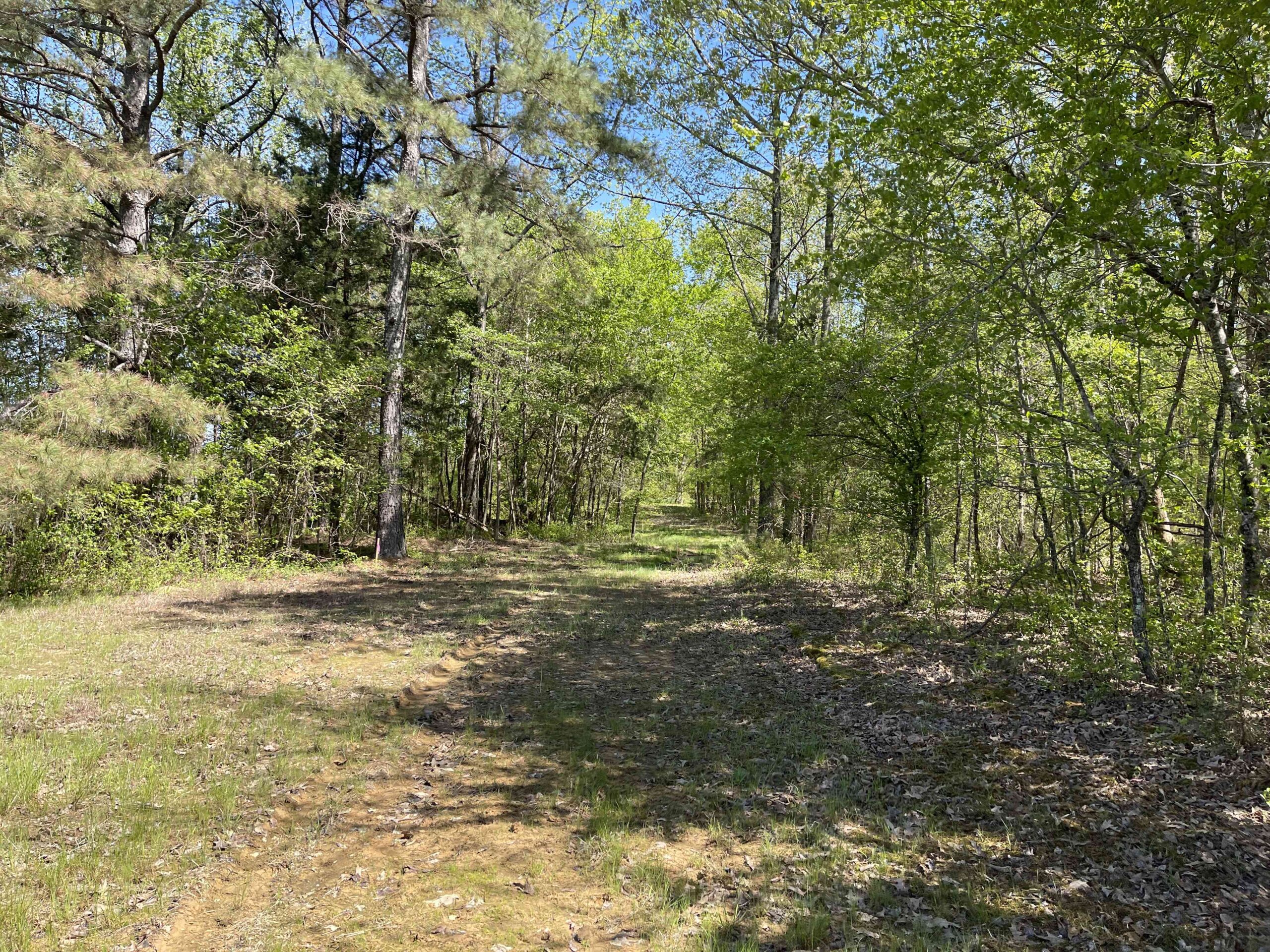 WOODED LAND FOR SALE IN TN, HUNTING LAND, LAND TO BUILD ON IN MCNAIRY COUNTY