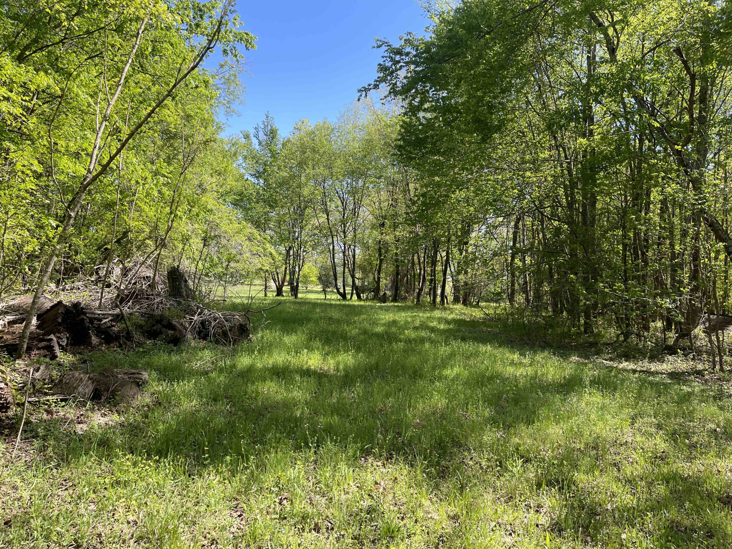 WOODED LAND FOR SALE IN TN, HUNTING LAND, LAND TO BUILD ON IN MCNAIRY COUNTY