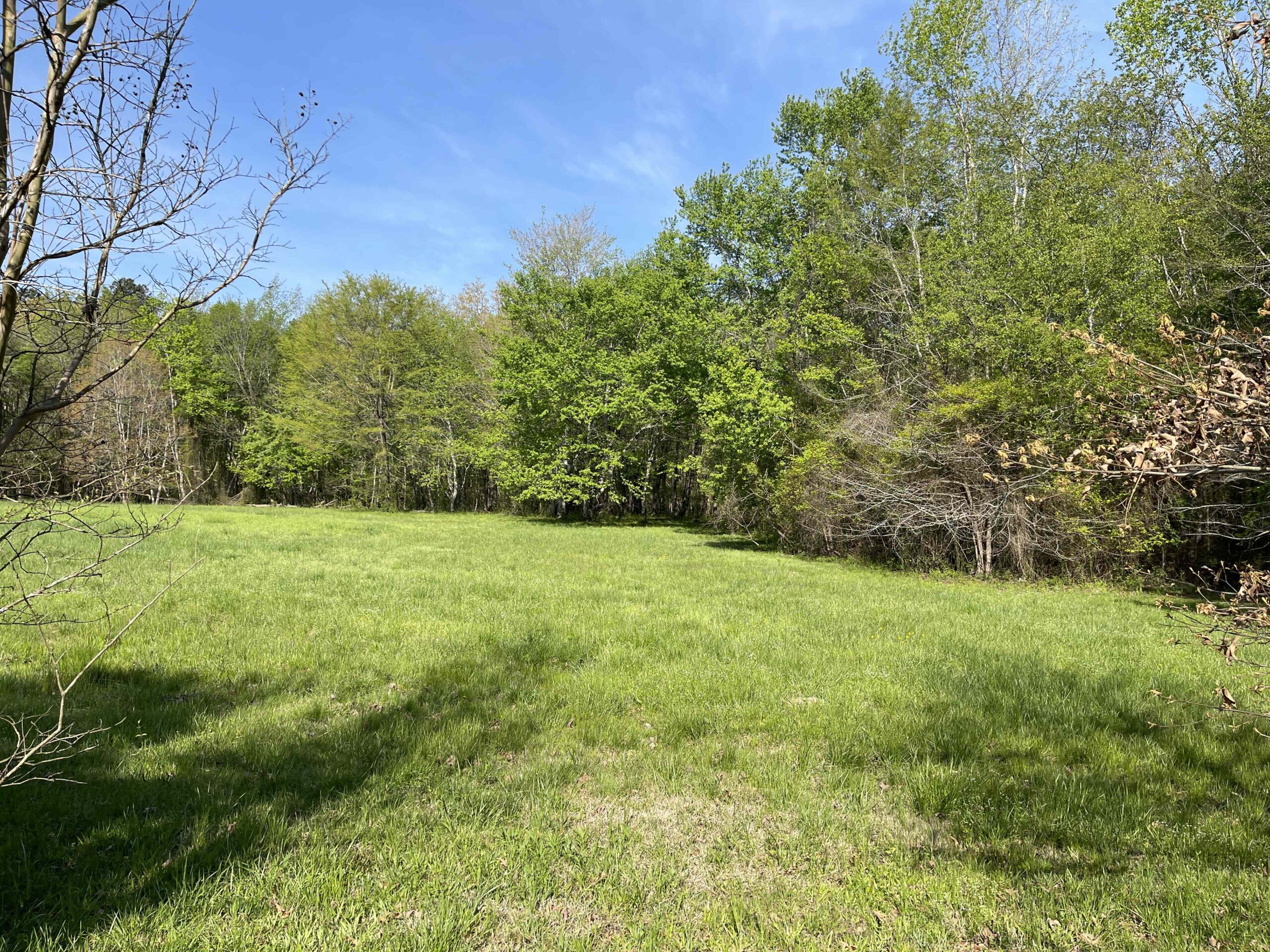 WOODED LAND FOR SALE IN TN, HUNTING LAND, LAND TO BUILD ON IN MCNAIRY COUNTY
