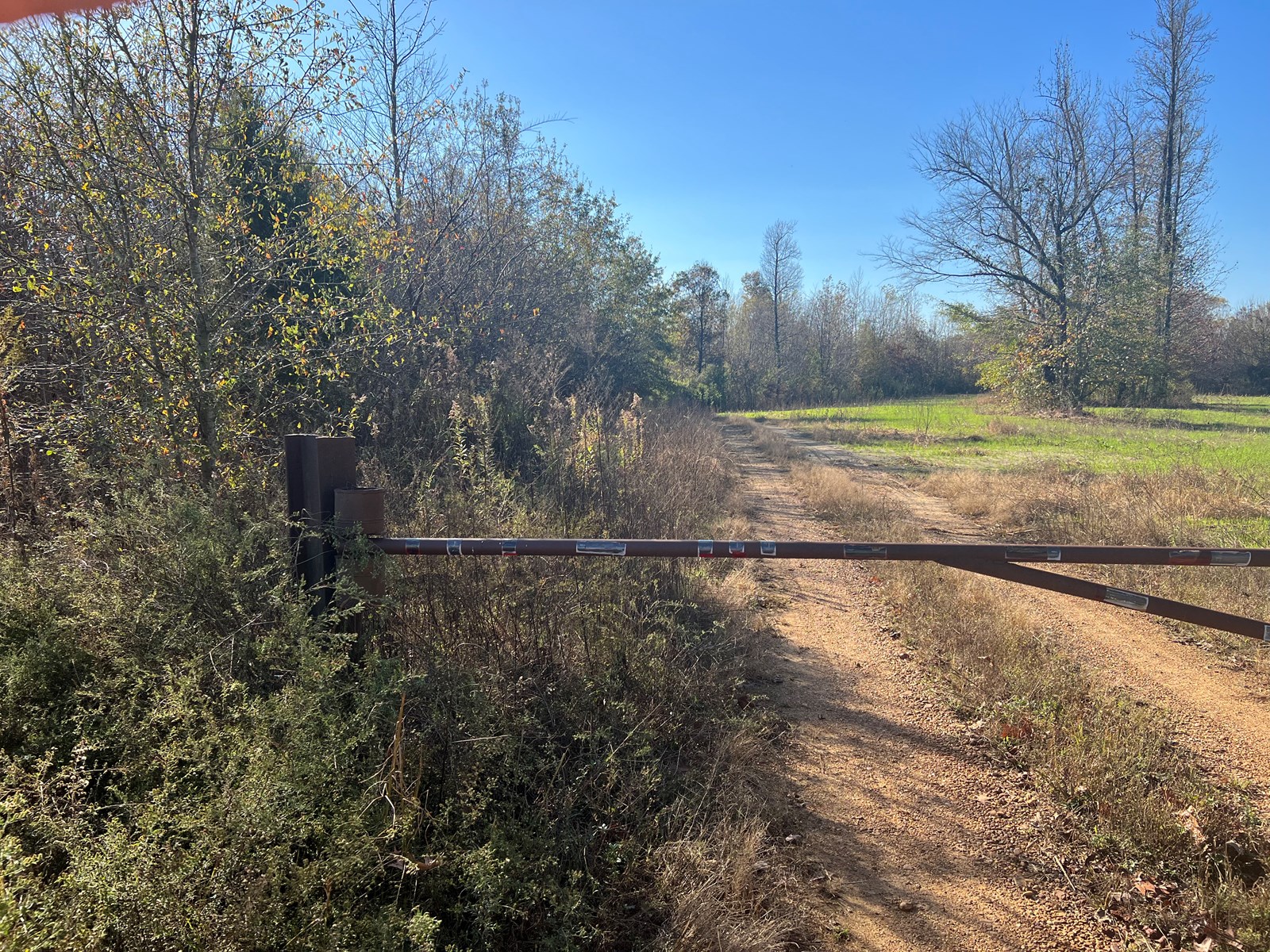 UNRESTRICTED LAND THAT HAS GREAT HUNTING THAT HAS BEEN USED AS FARM LAND