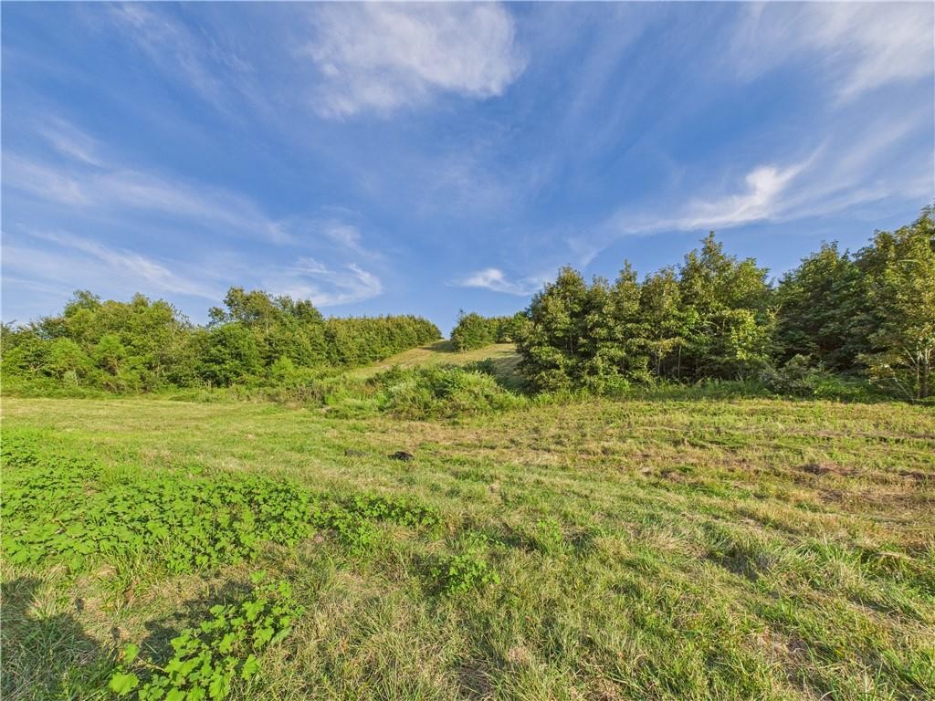 Ozark Mountain Home Hunting Retreat with Spring Fed Ponds For Sale in Searcy Co, Arkansas