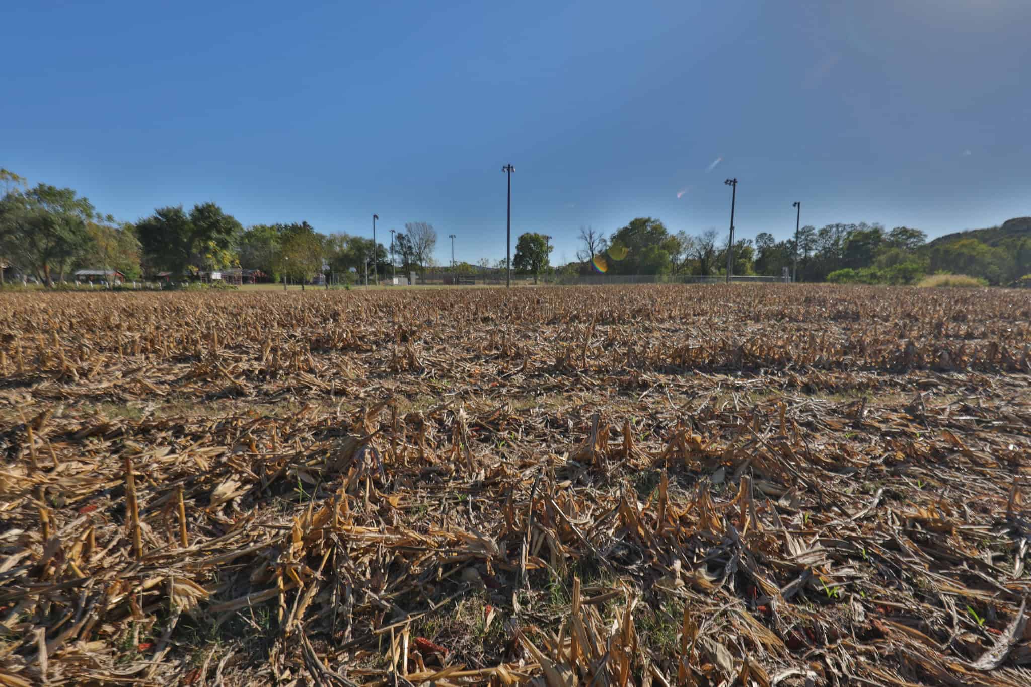 22.34 Acres of Driftless Region Recreational Paradise – Richland County, Wisconsin