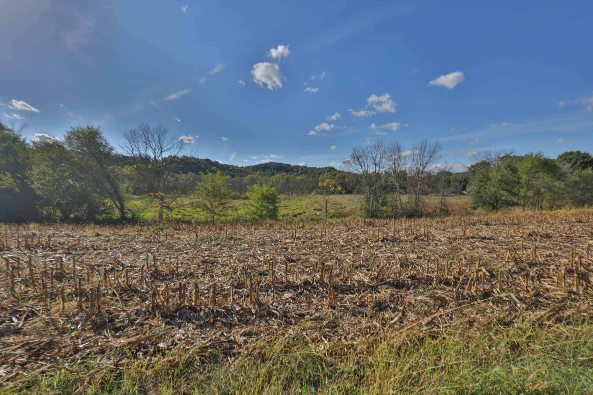 22.34 Acres of Driftless Region Recreational Paradise – Richland County, Wisconsin