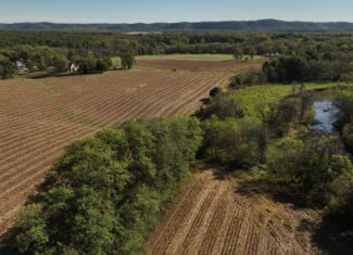 56.84 Acres of Driftless Region Recreational Paradise – Richland County, Wisconsin