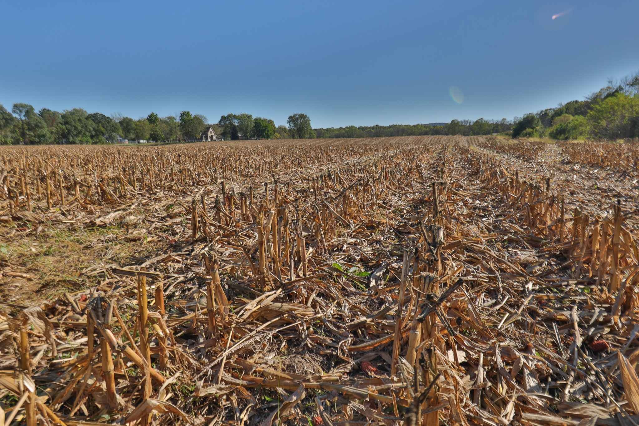 56.84 Acres of Driftless Region Recreational Paradise – Richland County, Wisconsin