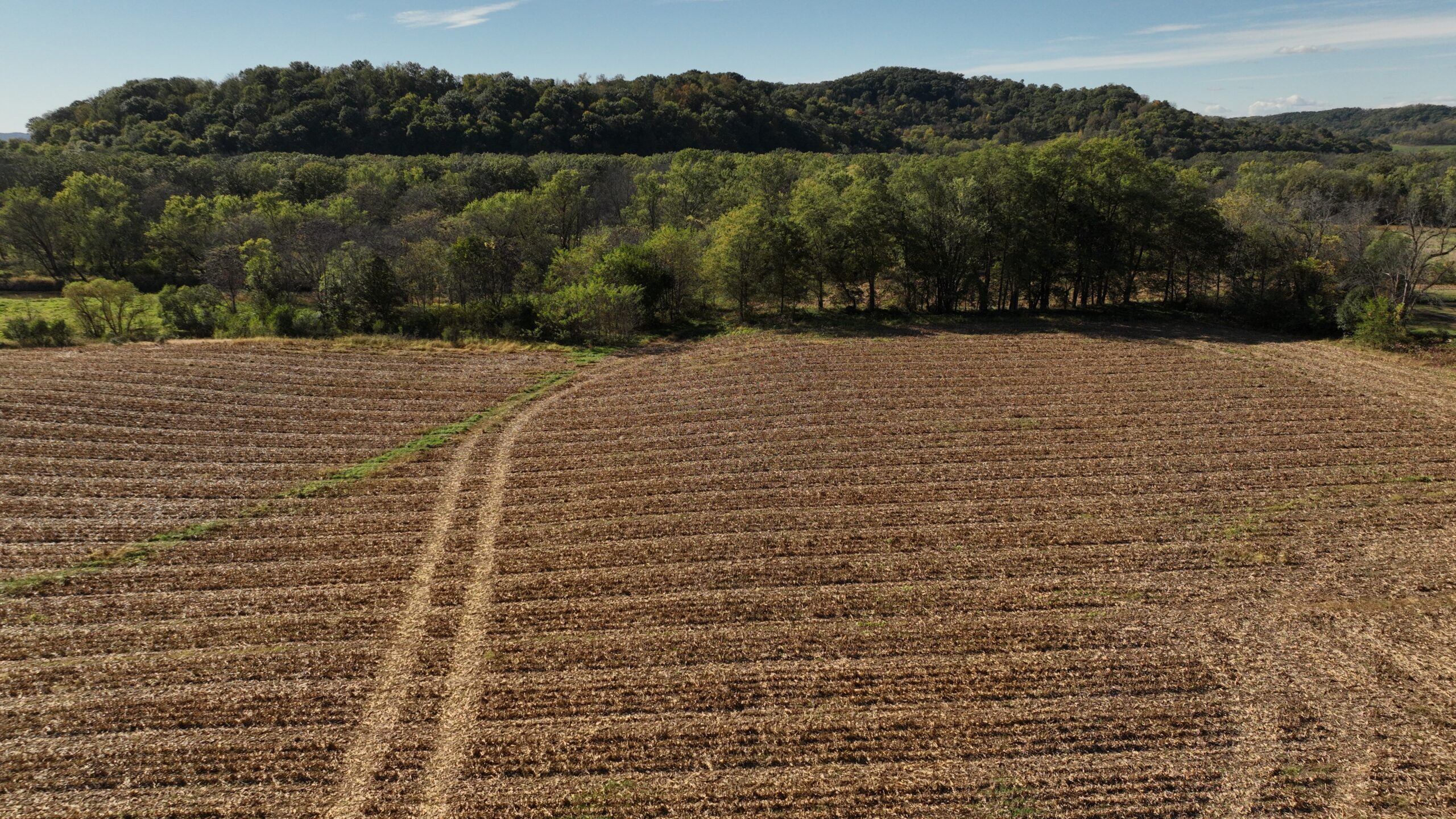 56.84 Acres of Driftless Region Recreational Paradise – Richland County, Wisconsin
