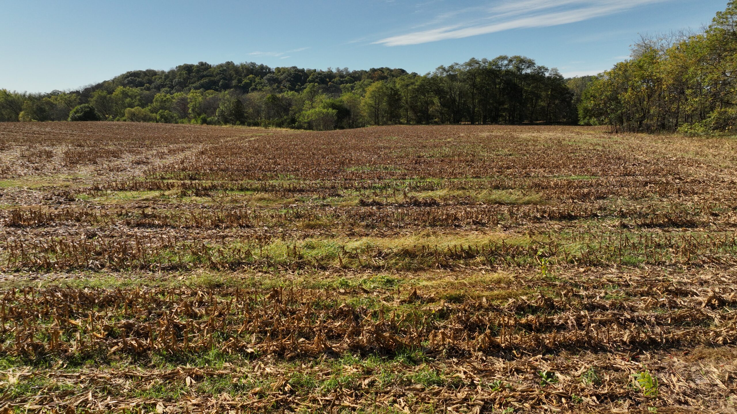 56.84 Acres of Driftless Region Recreational Paradise – Richland County, Wisconsin