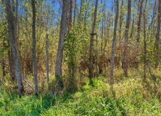 Trempealeau County Riverfront Hunting Land for Sale