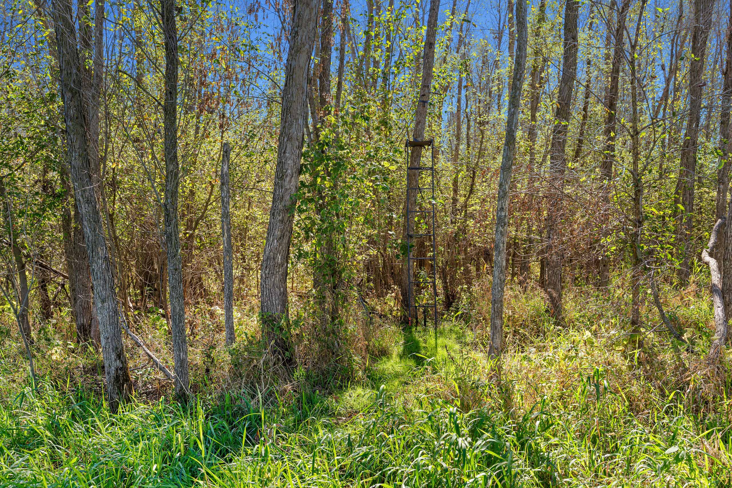 Trempealeau County Riverfront Hunting Land for Sale