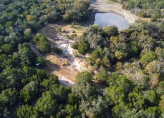 44.574 Acres of Central Texas Hunting Land for Sale