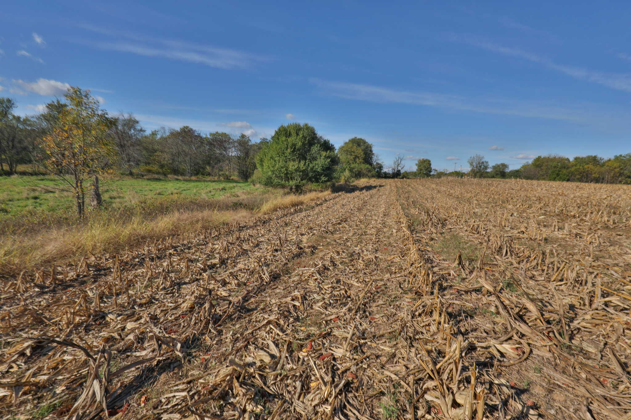 56.84 Acres of Driftless Region Recreational Paradise – Richland County, Wisconsin