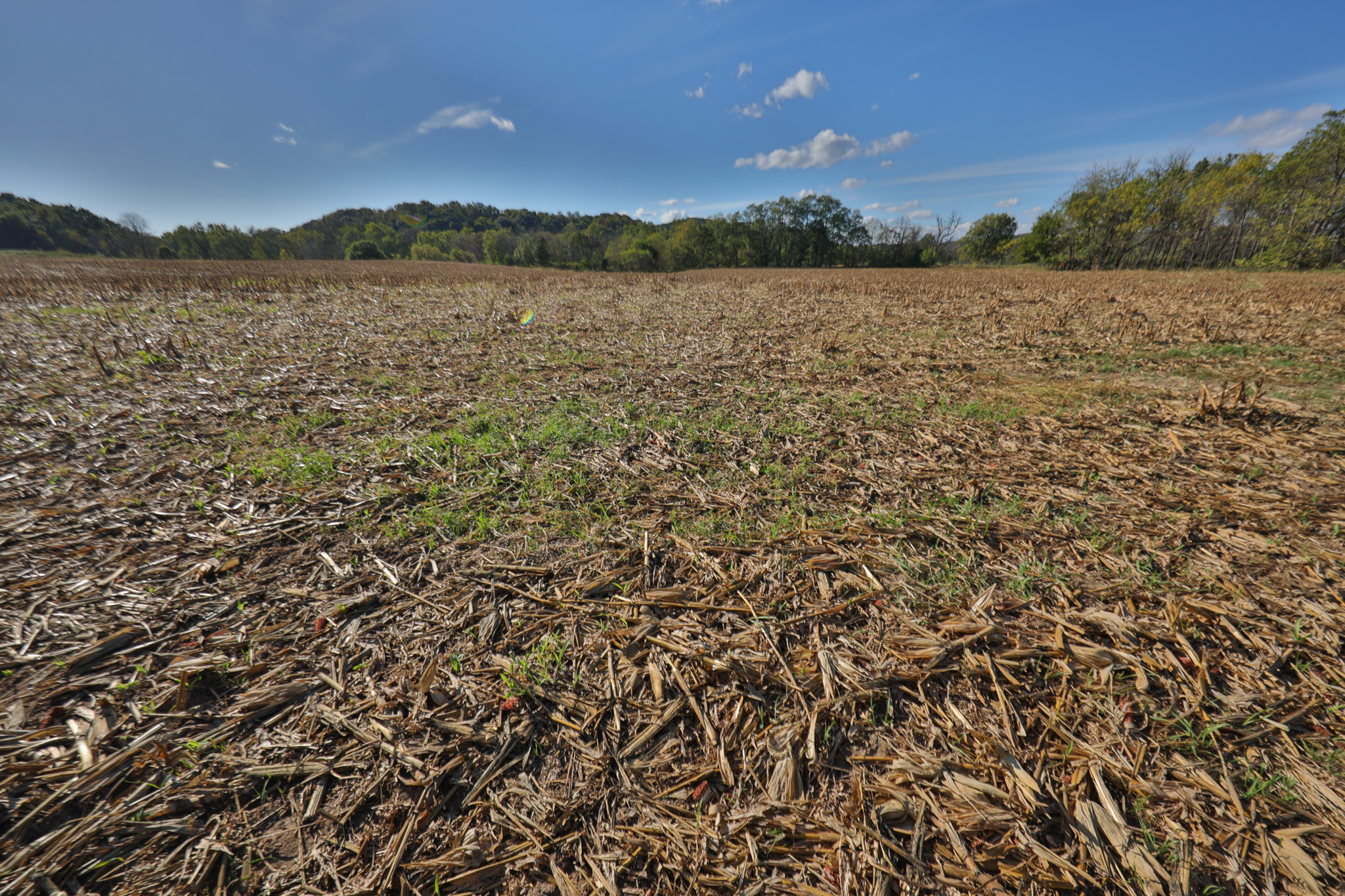 56.84 Acres of Driftless Region Recreational Paradise – Richland County, Wisconsin