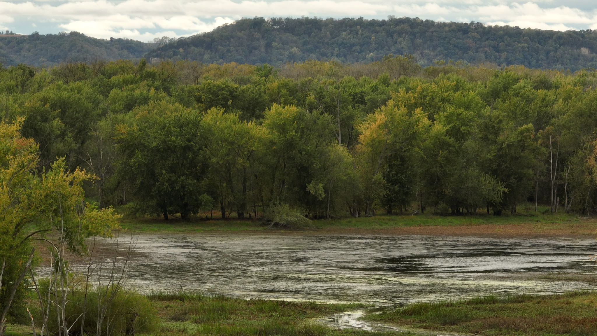 Waterfowl & Fishing Camp for Sale on the Mississippi River