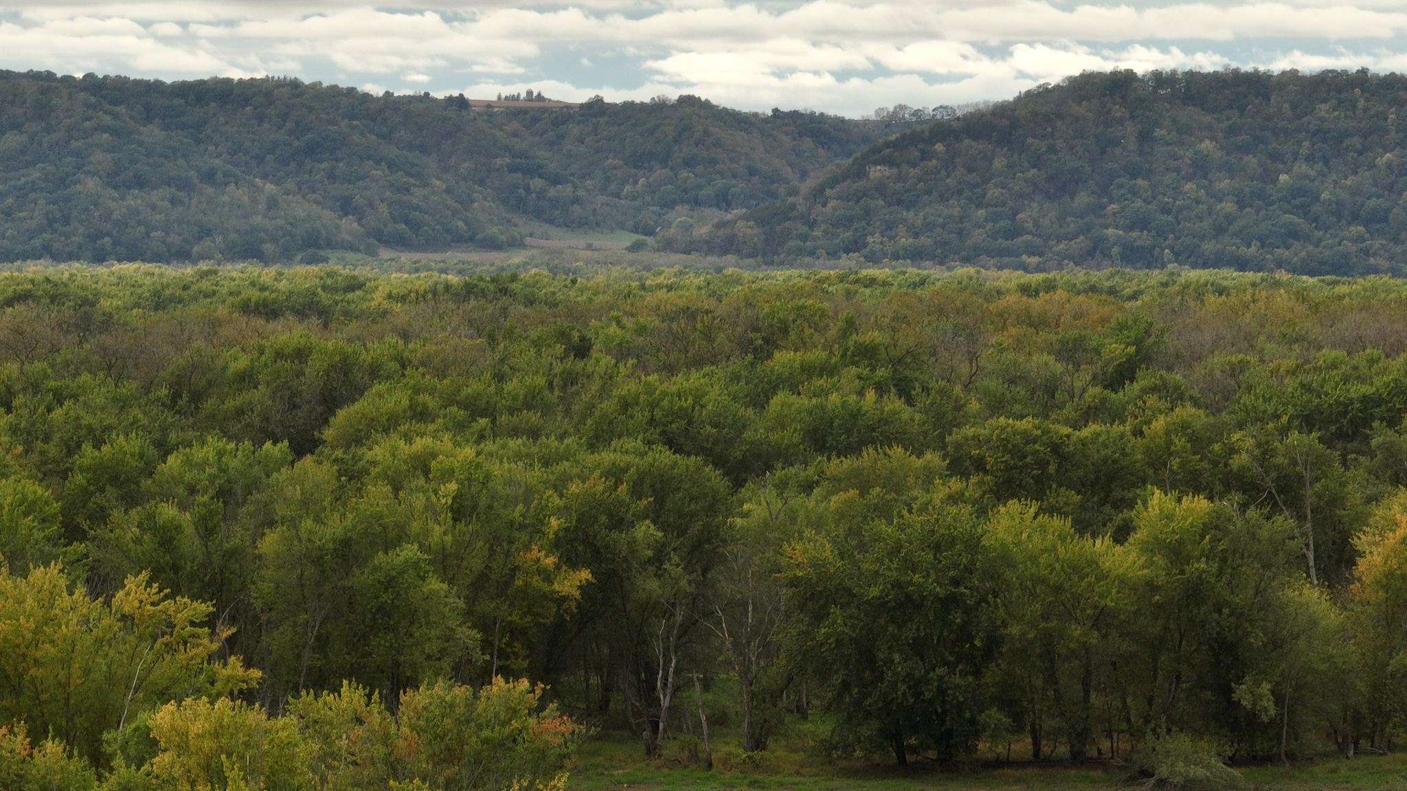 Waterfowl & Fishing Camp for Sale on the Mississippi River