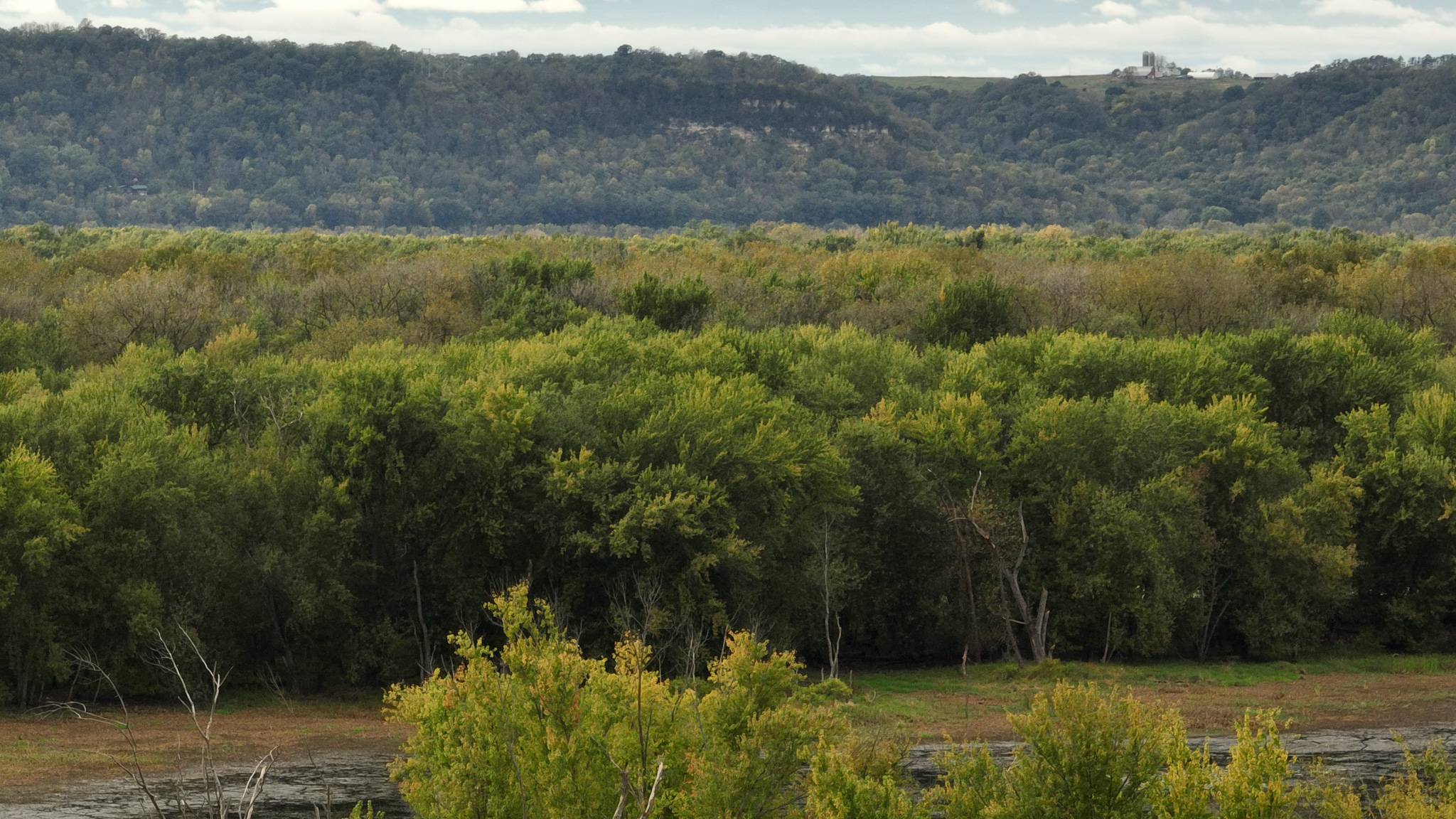 Waterfowl & Fishing Camp for Sale on the Mississippi River