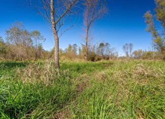 Trempealeau County Riverfront Hunting Land for Sale