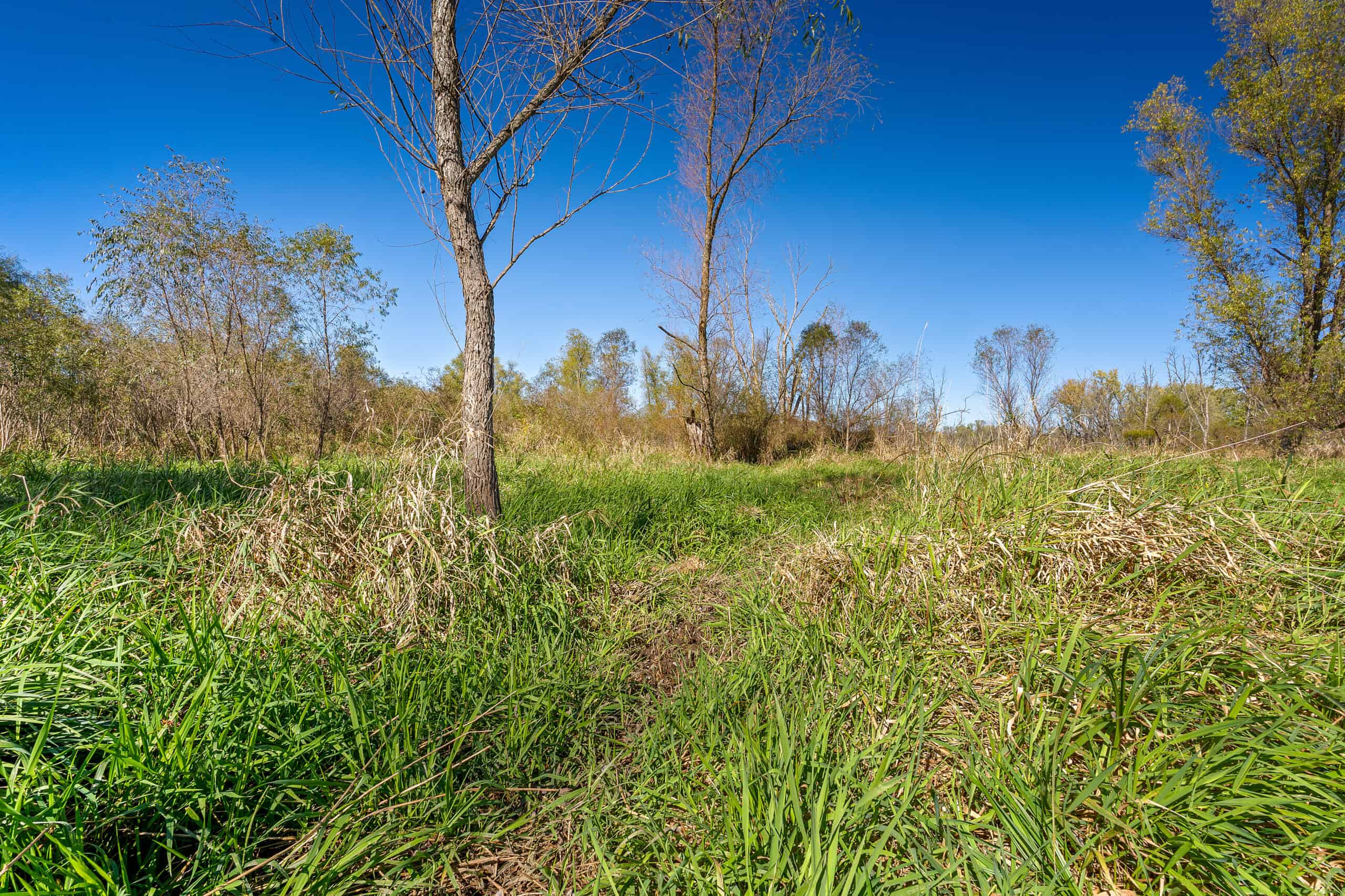 Trempealeau County Riverfront Hunting Land for Sale