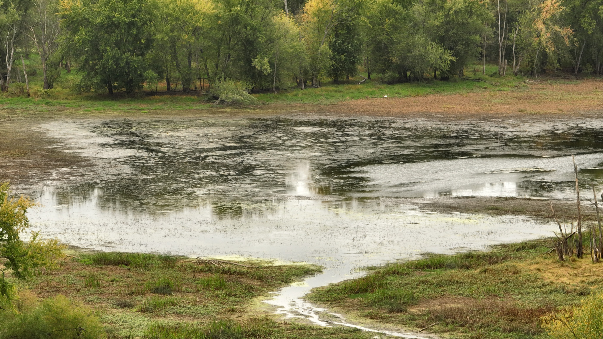 Waterfowl & Fishing Camp for Sale on the Mississippi River