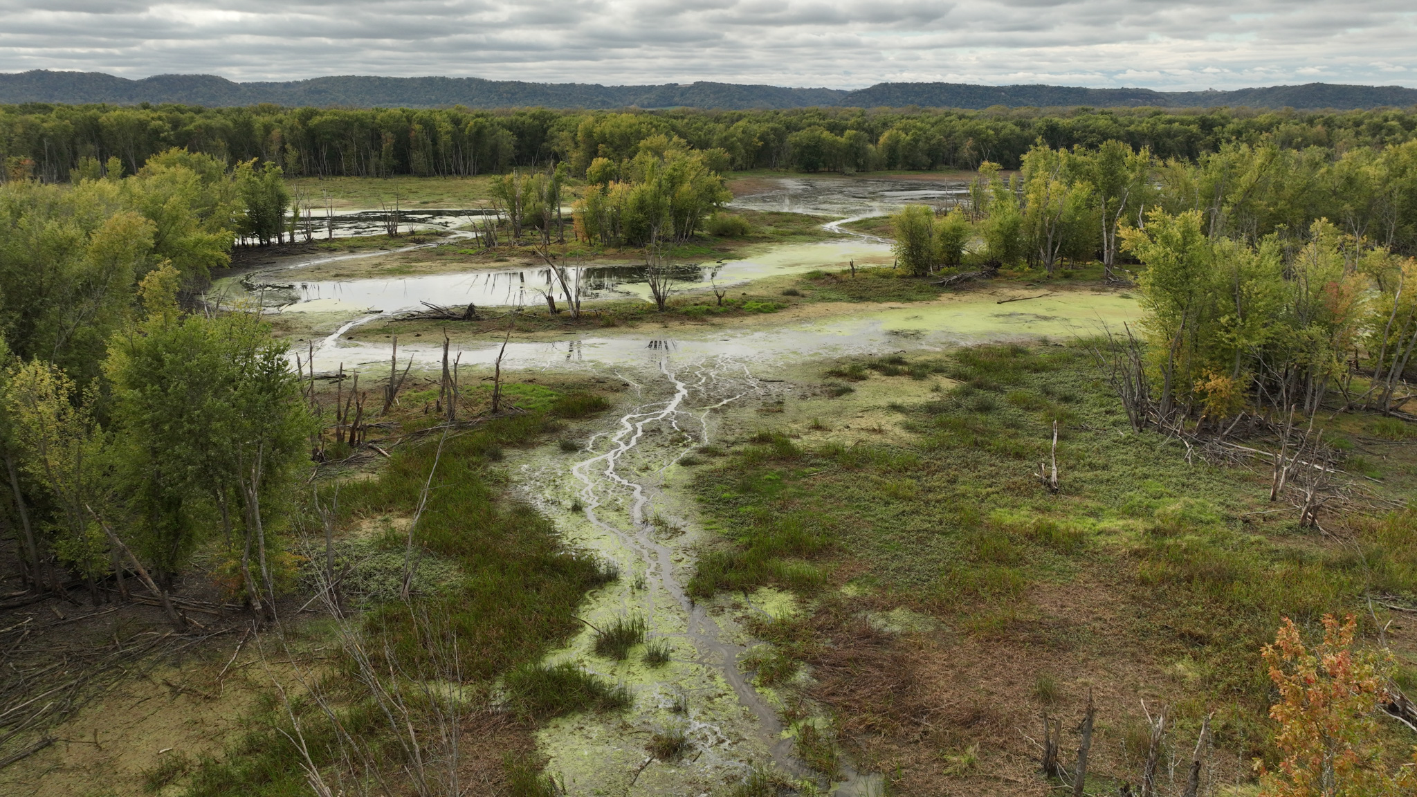 Waterfowl & Fishing Camp for Sale on the Mississippi River