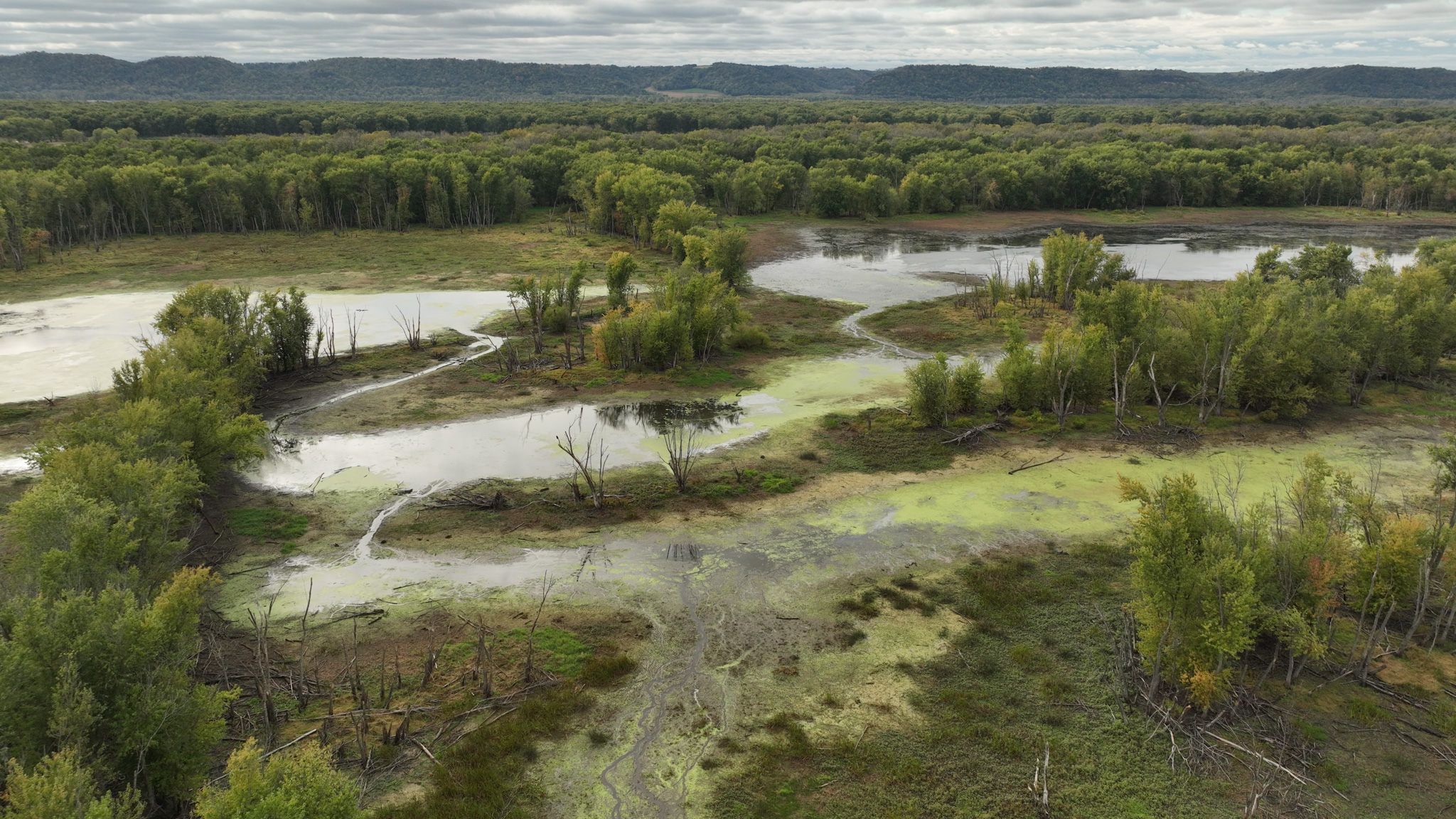 Waterfowl & Fishing Camp for Sale on the Mississippi River