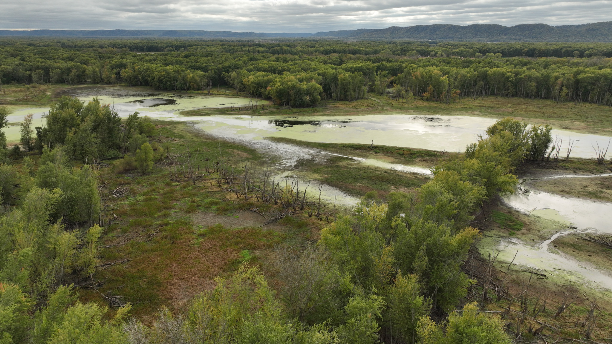 Waterfowl & Fishing Camp for Sale on the Mississippi River