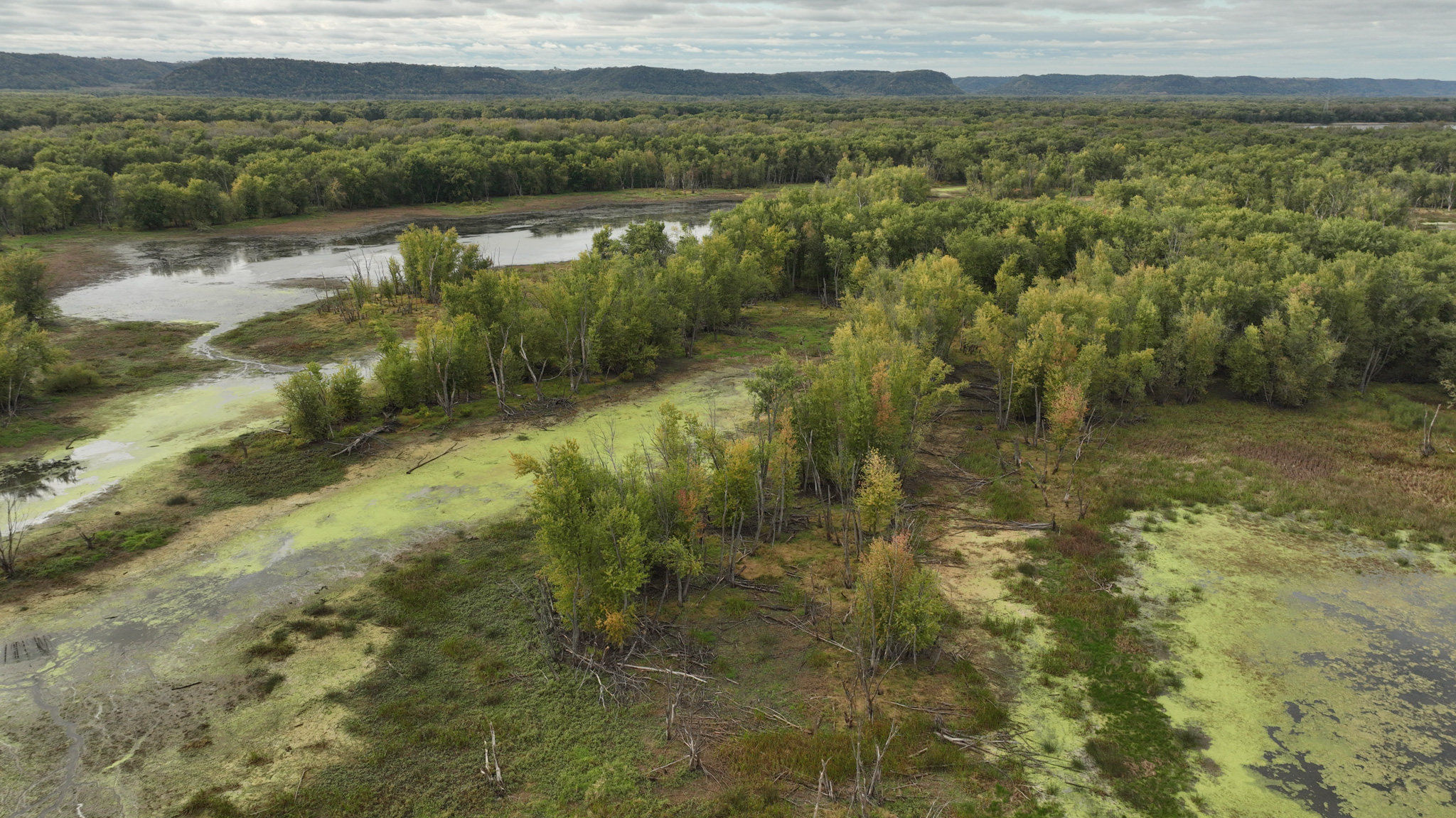 Waterfowl & Fishing Camp for Sale on the Mississippi River