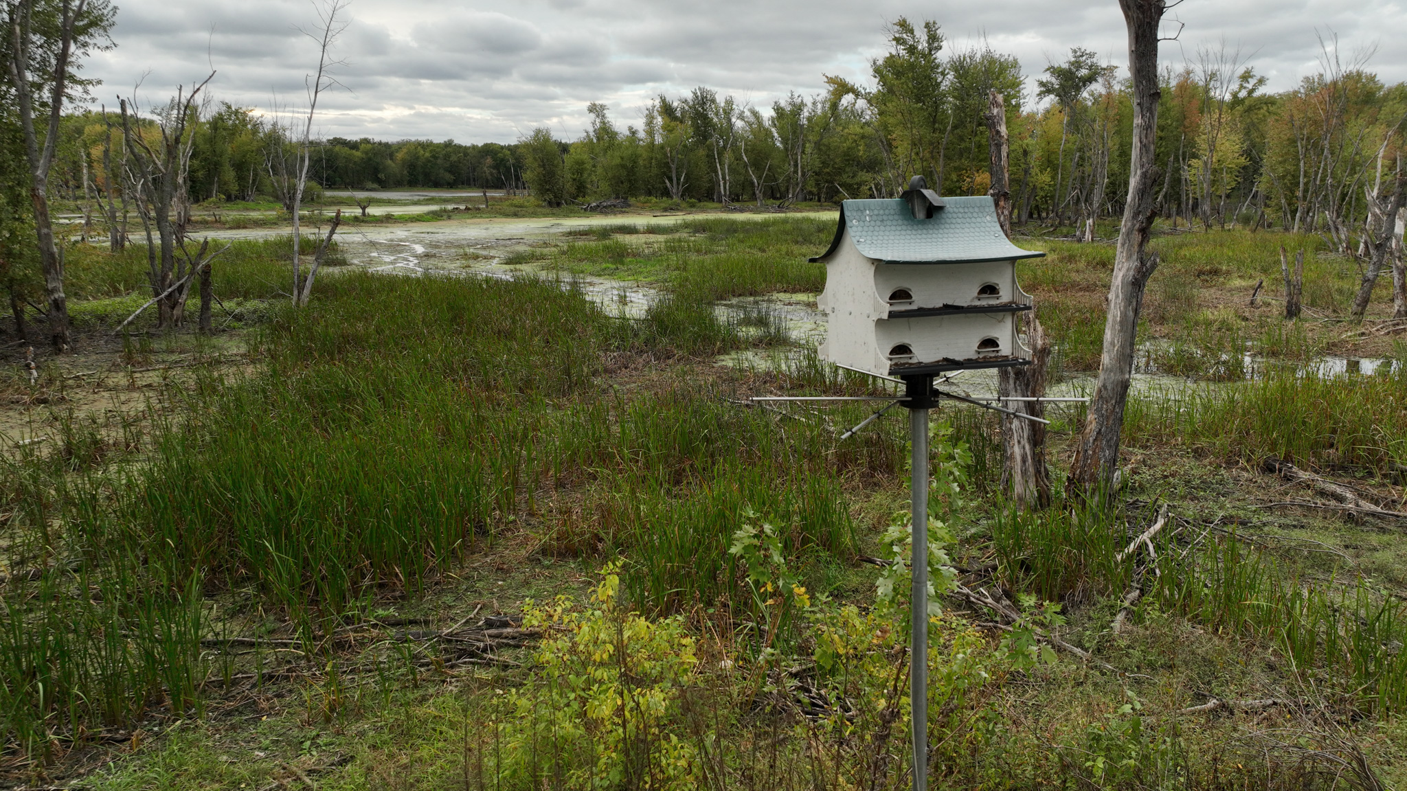 Waterfowl & Fishing Camp for Sale on the Mississippi River