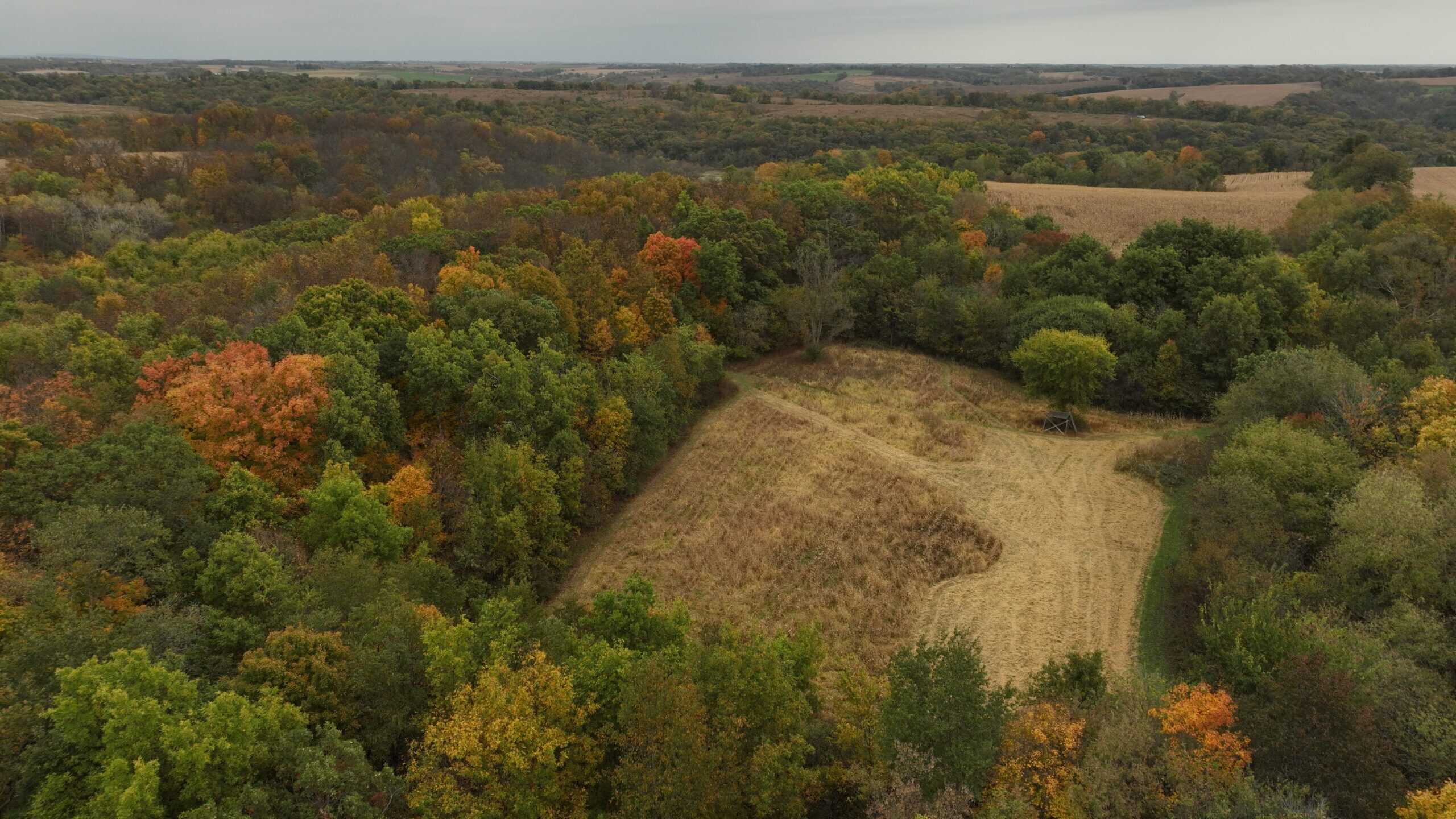 113-Acre Driftless Valley Estate for Sale in Lafayette County, Wisconsin