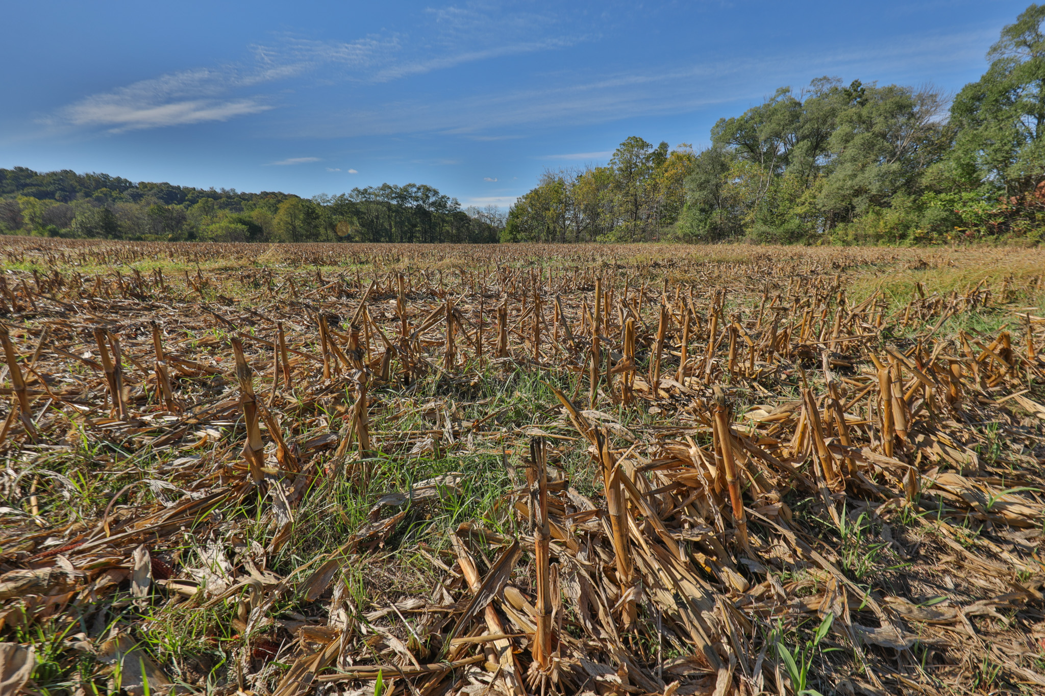 56.84 Acres of Driftless Region Recreational Paradise – Richland County, Wisconsin
