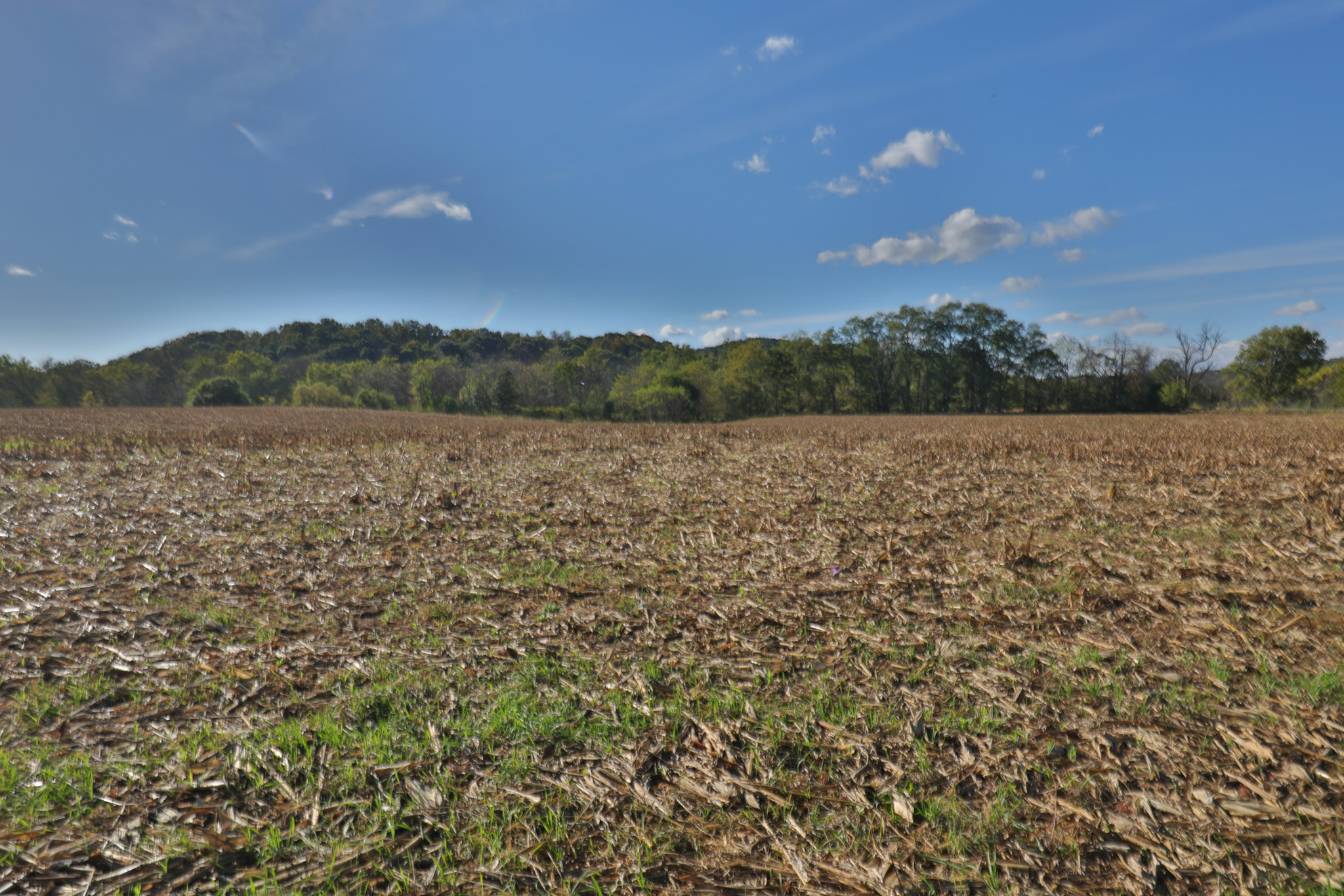 56.84 Acres of Driftless Region Recreational Paradise – Richland County, Wisconsin