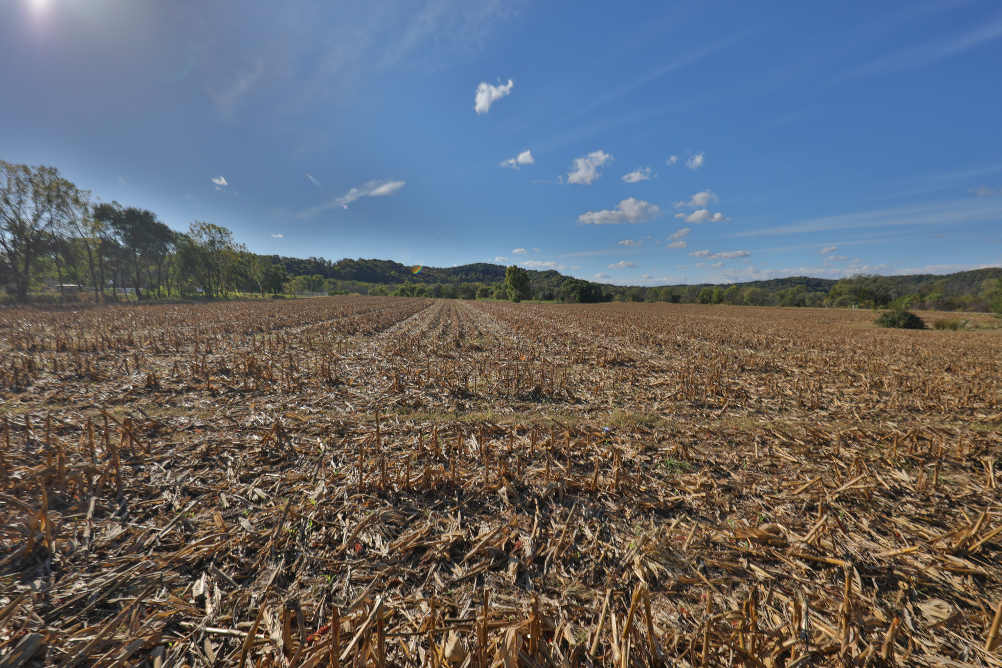 56.84 Acres of Driftless Region Recreational Paradise – Richland County, Wisconsin