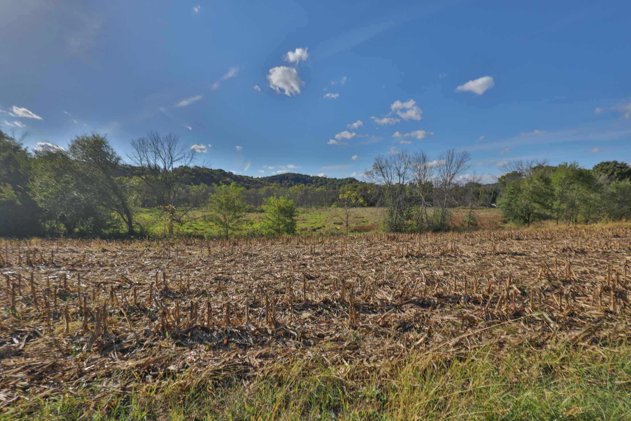 56.84 Acres of Driftless Region Recreational Paradise – Richland County, Wisconsin