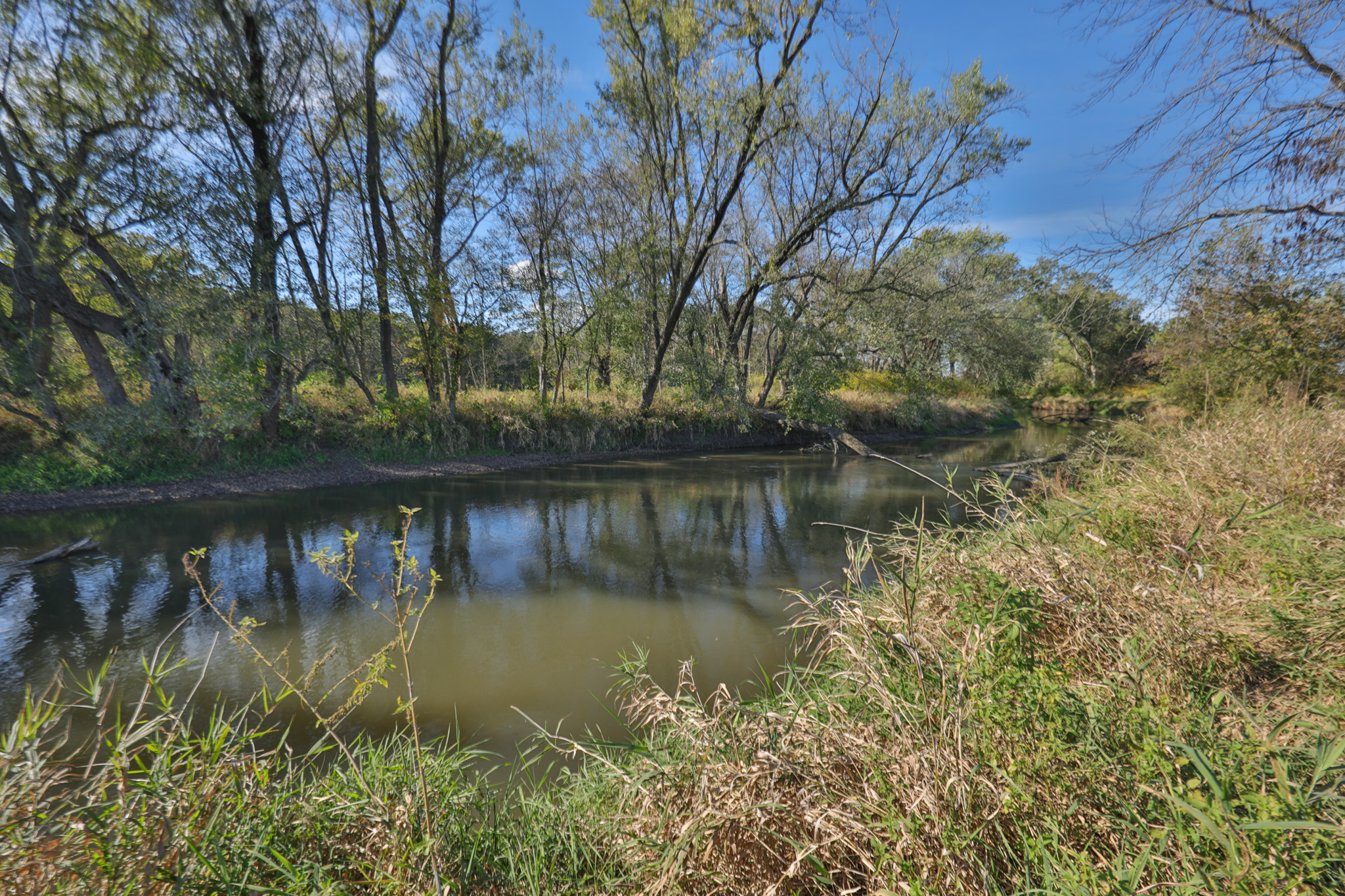56.84 Acres of Driftless Region Recreational Paradise – Richland County, Wisconsin