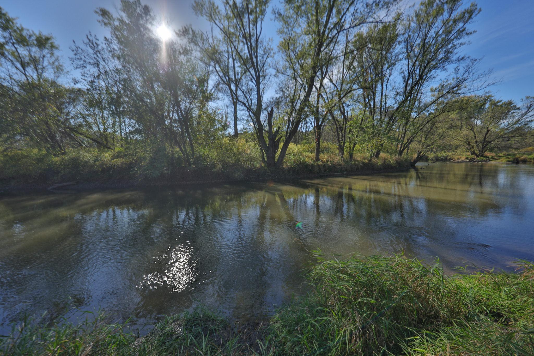 56.84 Acres of Driftless Region Recreational Paradise – Richland County, Wisconsin