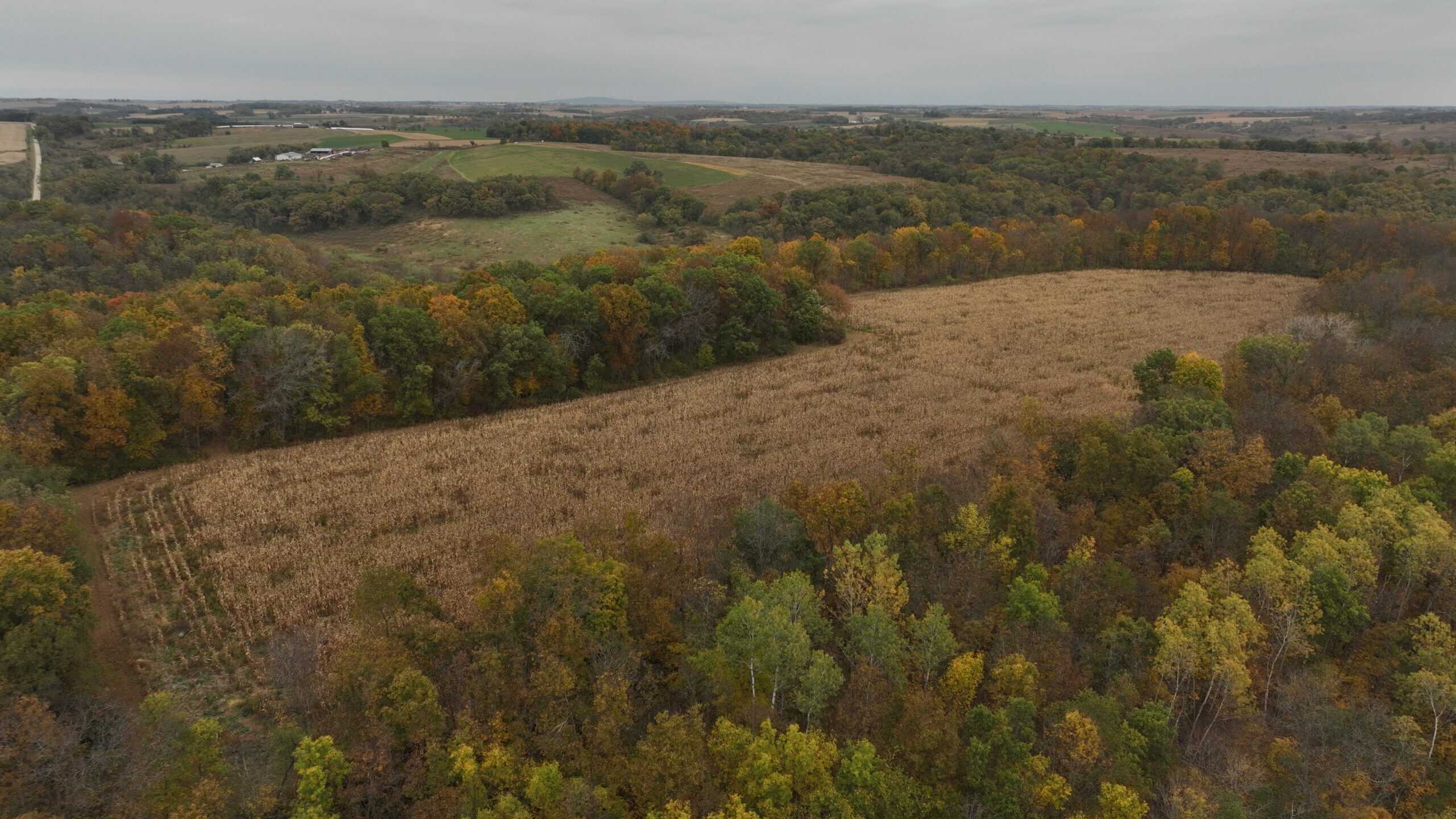 113-Acre Driftless Valley Estate for Sale in Lafayette County, Wisconsin