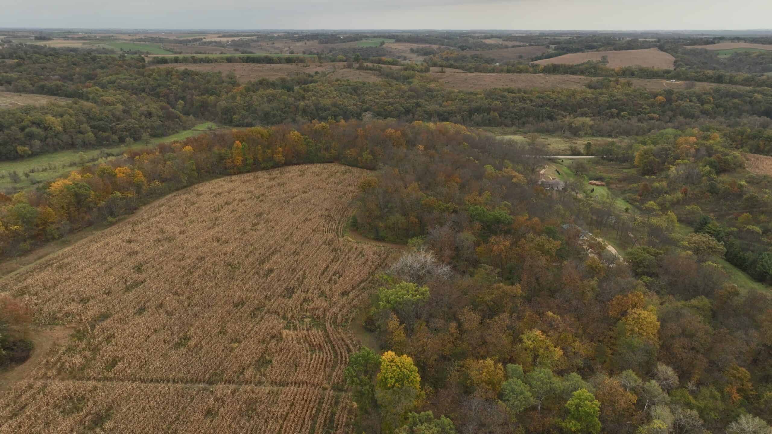 113-Acre Driftless Valley Estate for Sale in Lafayette County, Wisconsin