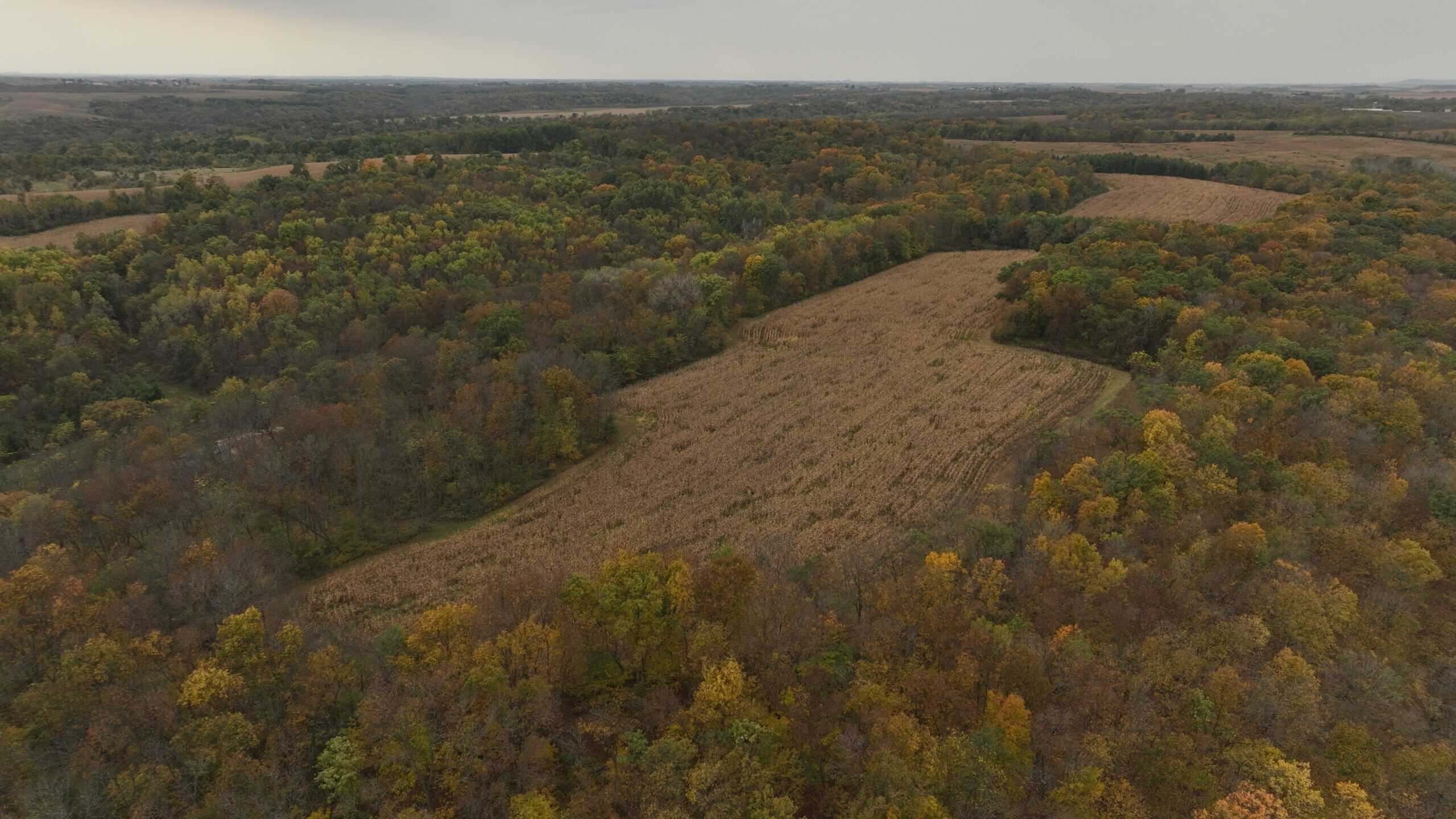113-Acre Driftless Valley Estate for Sale in Lafayette County, Wisconsin