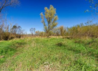 Trempealeau County Riverfront Hunting Land for Sale