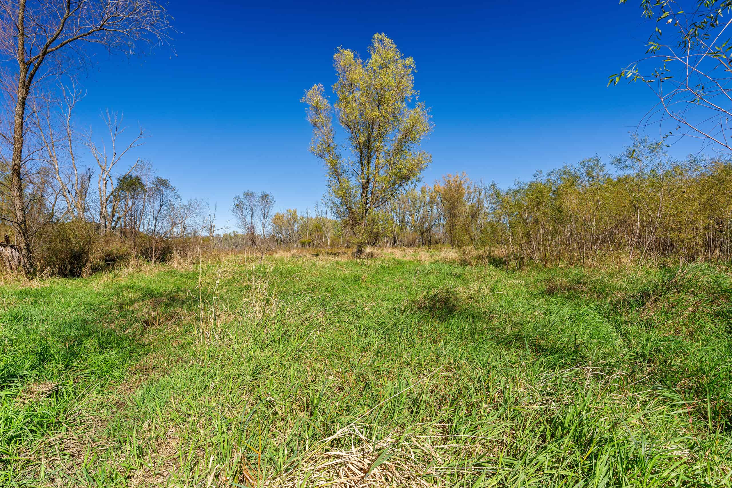 Trempealeau County Riverfront Hunting Land for Sale