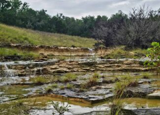 44.574 Acres of Central Texas Hunting Land for Sale
