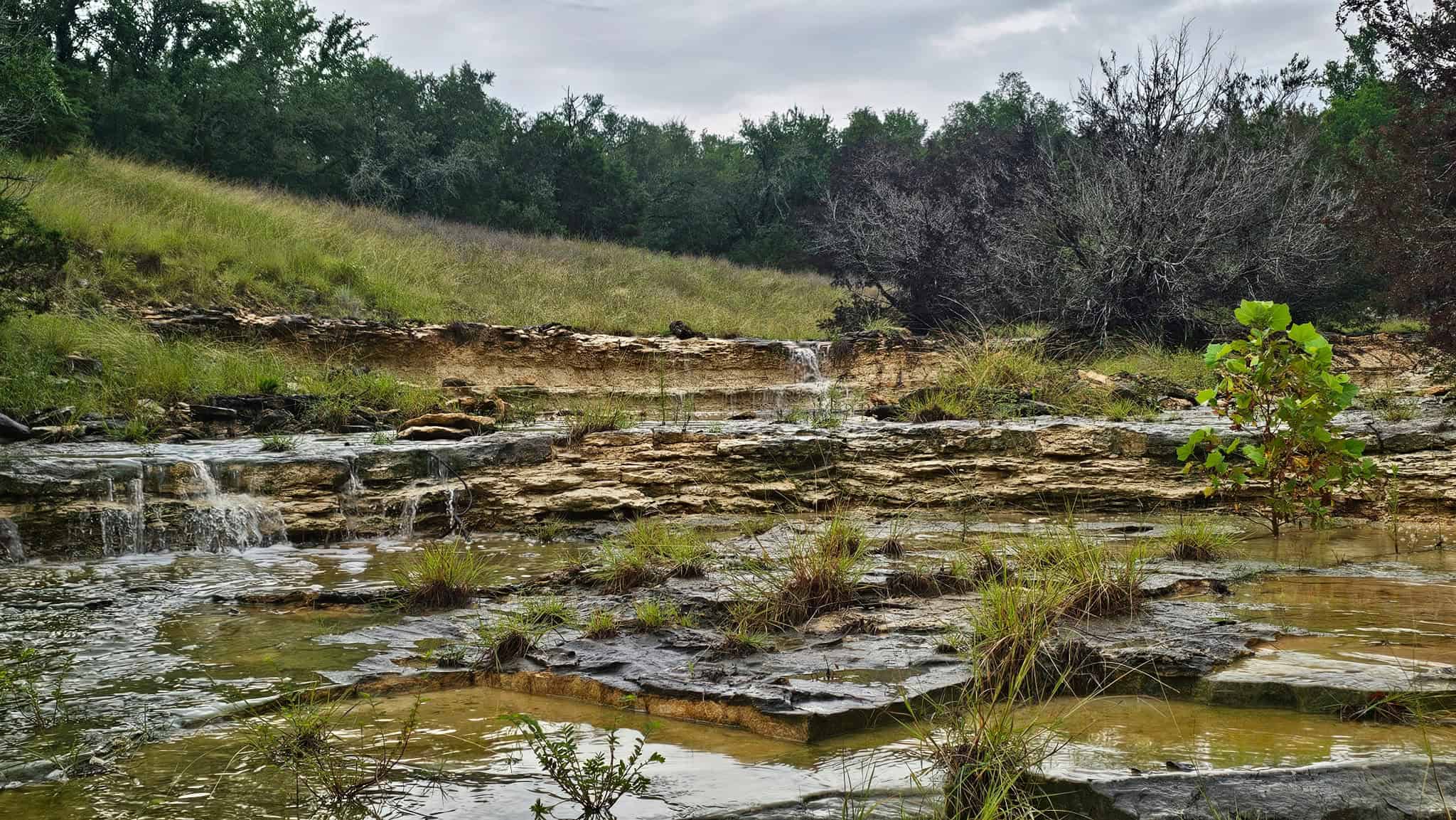 44.574 Acres of Central Texas Hunting Land for Sale