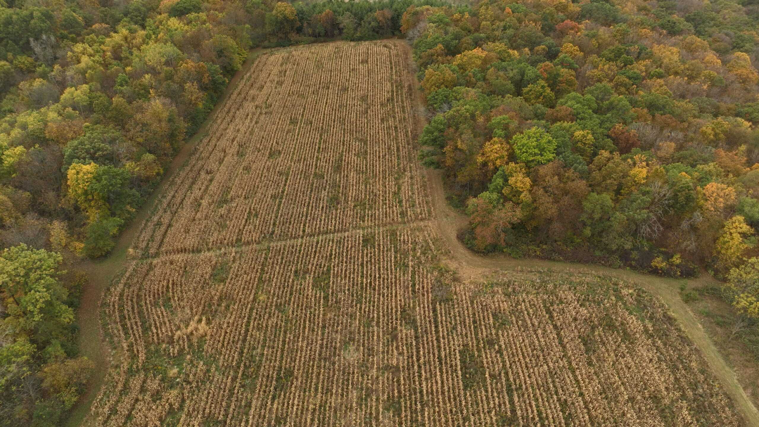113-Acre Driftless Valley Estate for Sale in Lafayette County, Wisconsin
