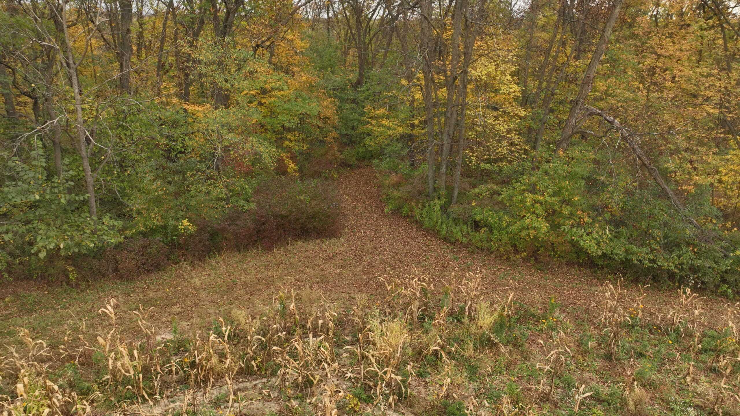 113-Acre Driftless Valley Estate for Sale in Lafayette County, Wisconsin
