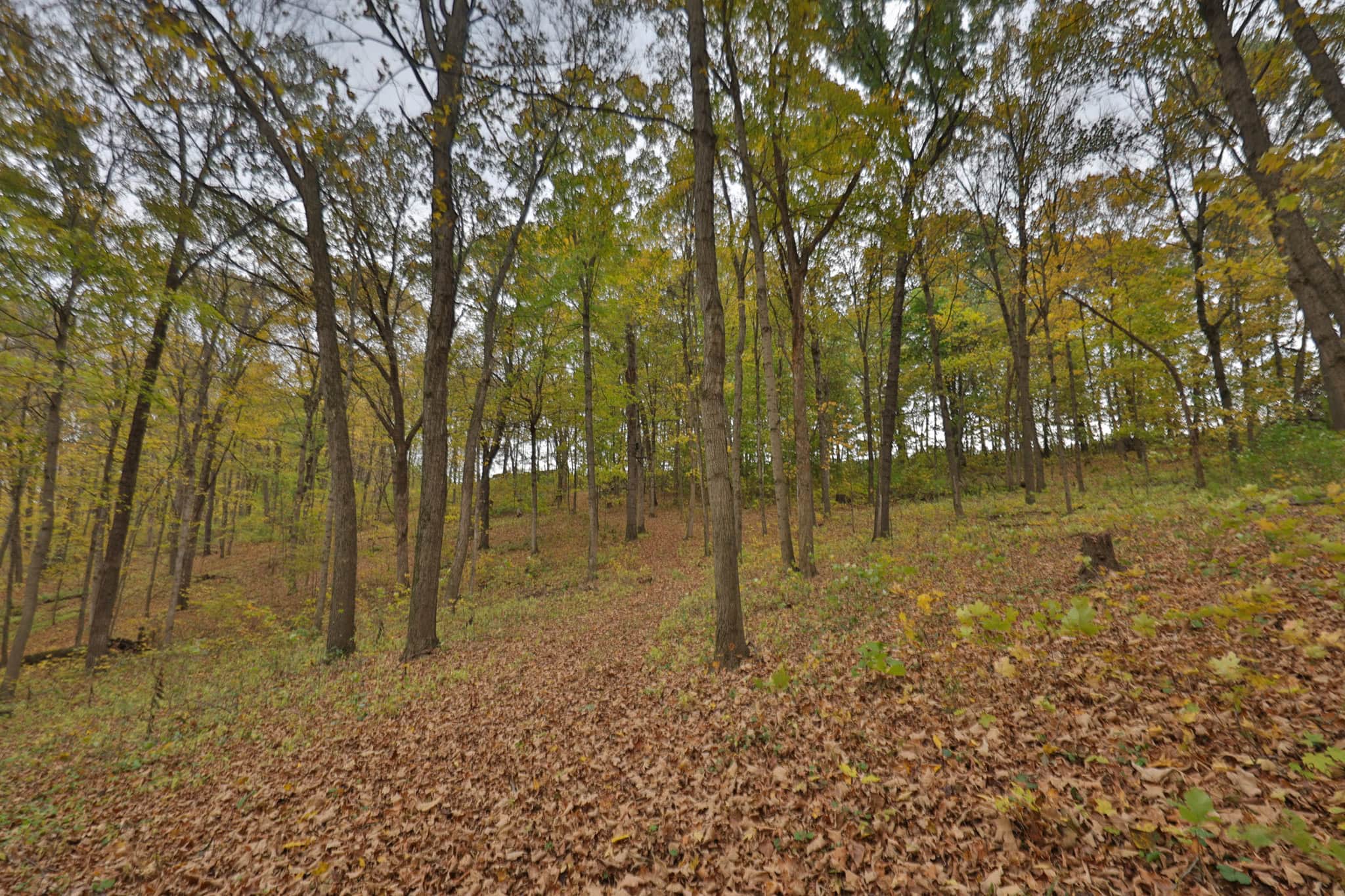 113-Acre Driftless Valley Estate for Sale in Lafayette County, Wisconsin