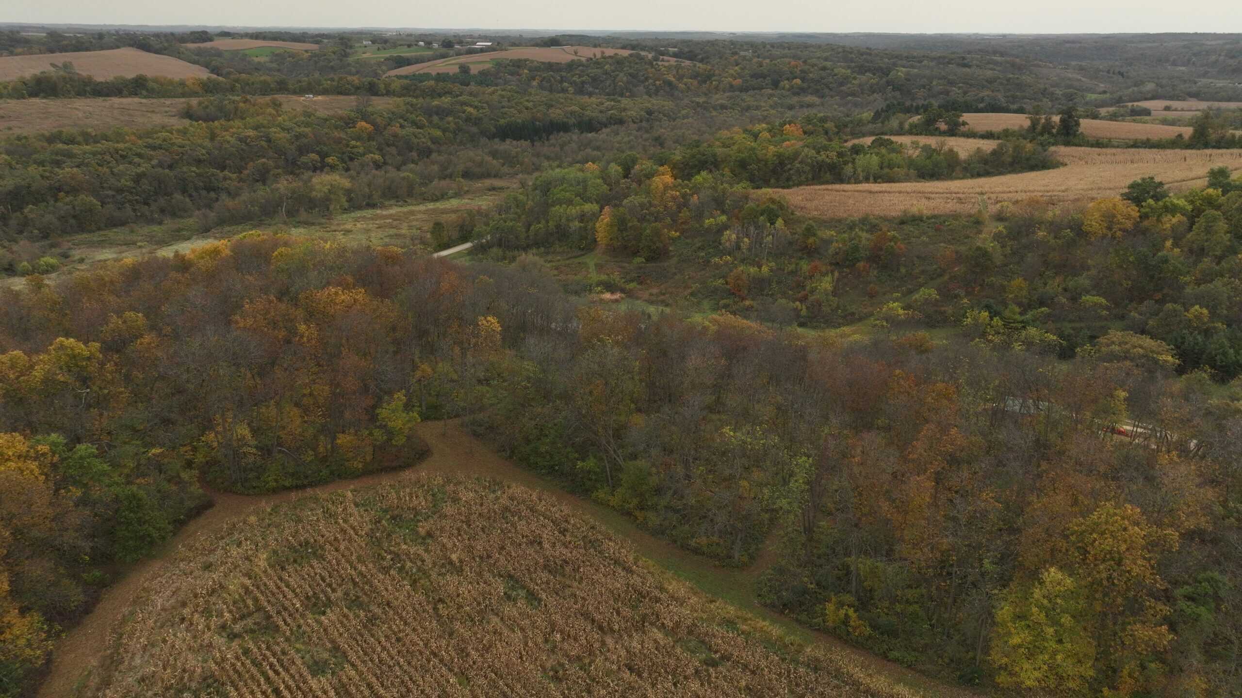 113-Acre Driftless Valley Estate for Sale in Lafayette County, Wisconsin