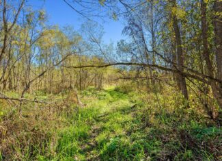 Trempealeau County Riverfront Hunting Land for Sale
